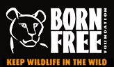 Born Free - Keep Wildlife in the Wild