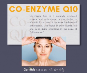 What exactly is Coenzyme Q10?