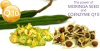 The Power of Moringa Seed and Coenzyme Q10